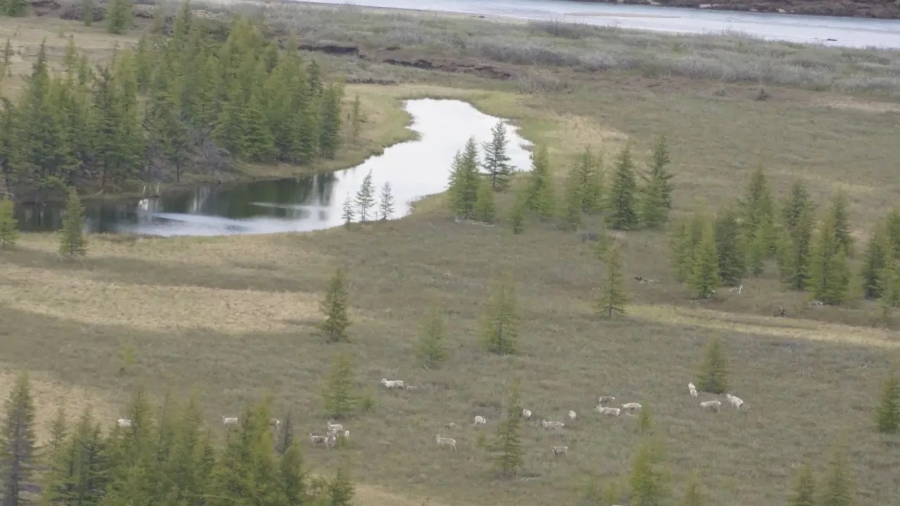 ALROSA 3